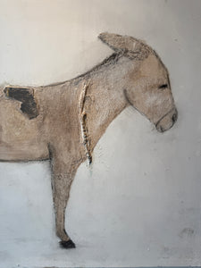 BURRO – Paul Meyer