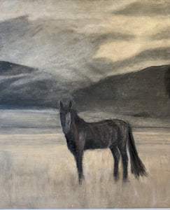 BURRO – Paul Meyer